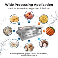 Automatische reinigingsmachine van roestvrij staal voor fruit, groenten, meidoorn, groente- en fruitverwerkingsapparatuur, rolborstel