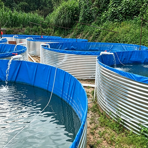 Équipement d'aquaculture <span class=keywords><strong>pour</strong></span> l'élevage <span class=keywords><strong>de</strong></span> tilapias en bassins, destiné aux entrepreneurs <span class=keywords><strong>de</strong></span> projets gouvernementaux <span class=keywords><strong>de</strong></span> fermes piscicoles - Product Image 4