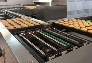 สายพานลำเลียงสำหรับสายการผลิตเค้ก - Product Image 4