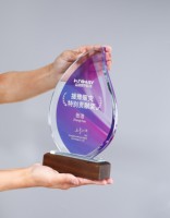 Excellente reconnaissance de prix progressive Trophées en bois massif Médailles et plaques Couleur cristal Imprimé Belle gravure Souvenir