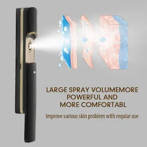 Portable Pocket Handy Ion Vapor Nano Facial Steamer Handy Mini Mister Sprayer Visual Water Tank Face Setting Spray