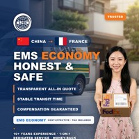 Agent logistique LHS UPS Air Express Chine France – Mots-clés logistiques Google à forte conversion – Expédition porte-à-porte de marchandises spéciales 3-7 jours