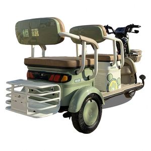 Triciclo de Última Generación de 90 KM de Autonomía para el Transporte de Pasajeros Adultos - Product Image 2