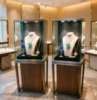 Vitrine d'exposition personnalisable haut de gamme en verre avec éclairage LED, durable et facile à nettoyer, pour bijoux, montres et présentation en magasin.