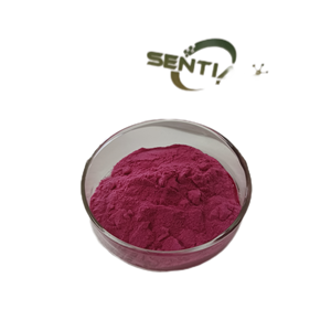 ผงบลูเบอร์รี่อบแห้งสารสกัดจากบลูเบอรี่ธรรมชาติ100% - Product Image 3