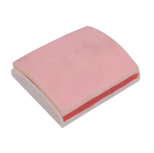 ADA-LV3-3 module avancé de pratique de suture de muscle de peau - Product Image 1