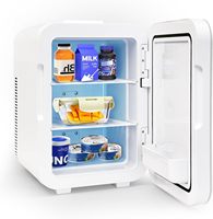 Mini-réfrigérateur portable 8L 10L à adsorption, dégivrage automatique, refroidissement par air, classe 1 d'efficacité énergétique pour hôtel, usage extérieur, maison et voiture