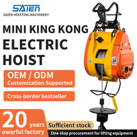 Mini-treuil électrique sans fil à télécommande 160kg-500kg 30m