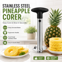 Handmatige fruit- en ananasontpitter van roestvrij staal voor efficiënt schillen van groenten en ananas.
