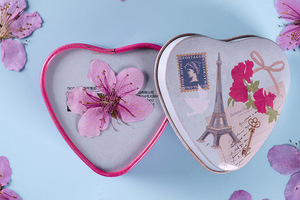 Flores Prensadas Naturales de Melocotón para Scrapbooking, Resina Epoxi, Ecológicas - Product Image 3