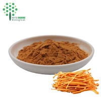 Poudre d'extrait de Cordyceps Militaris de qualité A en vrac, poudre de Cordycepine, emballée sous vide en fût