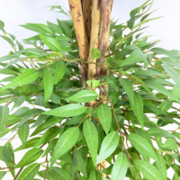 153/190cm arbre de Ficus artificiel Faux plastique feuille verte plante en pot arbres artificiels pour la décoration intérieure