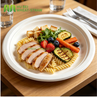 Assiette jetable en bagasse de canne à sucre 8,75/9/10 pouces, compostable, résistante à la chaleur, pour service de fête et dîner, vente en gros
