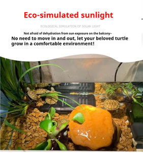 RAR20 RAR30 UVB CE ROHS Lampe Chauffante 25W <span class=keywords><strong>50W</strong></span> 75W 100W pour Reptiles E27 Matériau Verre Reptile Lumière Chauffante Fourniture d'usine - Product Image 6