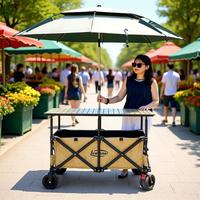 Chariot de camping multifonctionnel pliable et réglable avec poignée télescopique pour extérieur, jardin, parc et plage - Grande vente