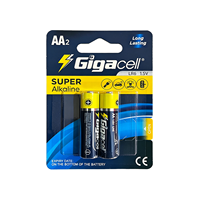 Batterie amovible de taille AA Super alcaline LR6 Dry Cell 1.5V pour jouets jouets éducatifs