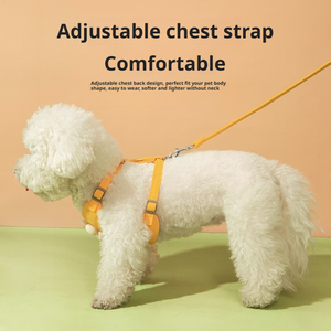 Future pets Cute Comfortable Adjusta ble Daisy Stickerei Weste Stil Nylon Geschirr und Leine für kleine Hunde Katzen Outdoor Walking - Product Image 5