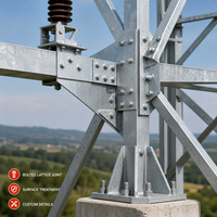 Structure en acier pour tour de ligne de transmission, cadre de support pour réseau électrique, projet de construction d'infrastructure sur mesure