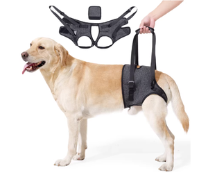Modern Orta Büyük Boy Köpek Askısı Çevre Dostu Polyester XL Yaşlı, Yaralı, Artritli, Engelli Köpekleri Kaldırma Destek Yeleği Ayarlanabilir - Product Image 3
