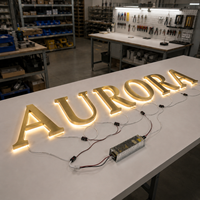 Lettres en acier inoxydable rétroéclairées par LED personnalisées pour boutique de bubble tea, directement de l'usine