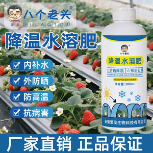 Agente de sombreado para invernaderos, líquido refrescante de 300 ml para verduras y plantas - Product Image 4