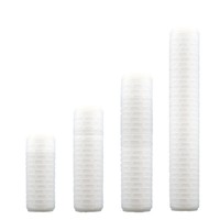 Élément filtrant à eau plissé micro-poreux 10-40 pouces 0,22/0,45 µm en coton PP, filtre de précision