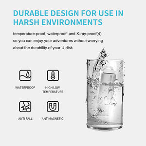 هدايا الأعمال الترويجية USB العصي 4 جيجابايت 8 جيجابايت 16 جيجابايت 32 جيجابايت 64 جيجابايت محركات أقراص الإبهام USB pendr 2.0 محرك الأقراص - Product Image 5