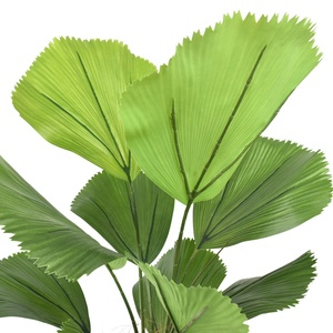 <span class=keywords><strong>Palmier</strong></span> <span class=keywords><strong>Licuala</strong></span> Artificiel avec Pot, Plante de <span class=keywords><strong>Palmier</strong></span> en Fausse Feuille de <span class=keywords><strong>Palmier</strong></span>, Plante Tropicale en Pot pour la Décoration Intérieure de la Maison et du Bureau - Product Image 4
