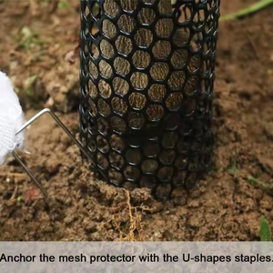 Giá Tốt Nhất Nhựa Phẳng Giống Lưới <span class=keywords><strong>Net</strong></span> Cho Gia Cầm HDPE Cứng Nhắc Nhựa Lưới <span class=keywords><strong>Net</strong></span> Từ Nhà Máy - Product Image 3