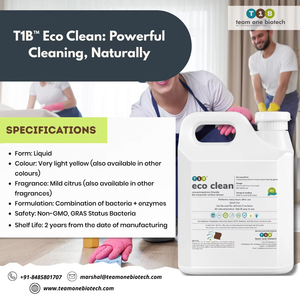 น้ำยาทำความสะอาดยาแนวอเนกประสงค์สูตรไบโอเอนไซม์สำหรับห้องครัว ขายดี ราคาส่ง - Product Image 3