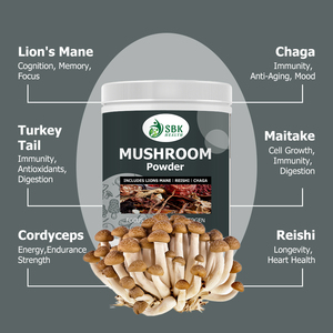 Premium Potency 7 in 1 Organic Mushroom Powder Cordyceps militaris Immunity Gut Heart Support Multi Mushroom Daily Wellness - Product Image 4