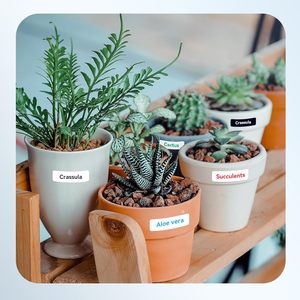 Truyền nhiệt nhãn Vật liệu vật nuôi không thấm nước và chịu nhiệt độ cao - Product Image 5