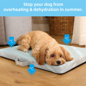 Neuankömmling Haustier Cooles Bett Sommer kühlung Touch Stoff <span class=keywords><strong>Cool</strong></span> Memory Sponge Travel Hunde bett Kissen Mit Griff - Product Image 3