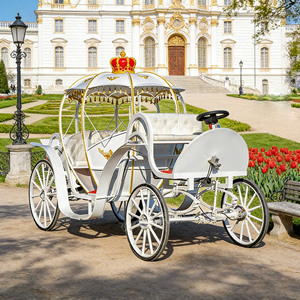 Carrozza Elettrica Reale a Forma di Zucca di Cenerentola per Matrimoni, Tour Turistici e Girovaglie - Product Image 1