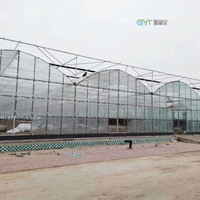 Structure de serre multi-travées en film pour projets à l'étranger – Cadres de serres de qualité commerciale pour l'agriculture