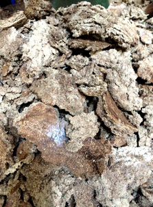 MUESCA DE COCO para ALIMENTACIÓN ANIMAL - HIERVA PARA GANADO, CERDO Y PESCADO 100% NATURAL DE VIETNAM TAMAÑOS PERSONALIZABLES - Product Image 2