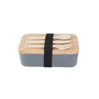 Boîte à lunch promotionnelle, boîte à bento de qualité alimentaire pour enfants et adultes, boîte à lunch double couche en PP avec sac à lunch et logo personnalisé