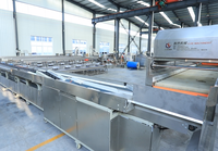 Hotselling industriële automatische avocado sorteermachine met hoge efficiëntie LIJIE LJWS-1000 380V multifunctioneel