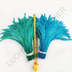 Fabricant pas cher vente 35-40 cm blanchi lâche plume de queue de coq plume pour <span class=keywords><strong>carnaval</strong></span> bricolage décoration - Product Image 4
