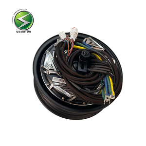 QSMOTOR 12인치 6000W PRO 듀얼 홀 40H 브러시리스 시리즈 와운드 <span class=keywords><strong>DC</strong></span> 디스크 브레이크 모터 IE4 효율성 IP55 방수 72V <span class=keywords><strong>DC</strong></span> 전기 - Product Image 1