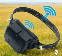 Collier solaire étanche en plastique LoRa GPS pour le suivi des bovins avec clôture virtuelle à choc électrique pour la gestion des élevages (contrôle par application)