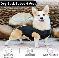 NIBAO – orthèse dorsale pour chiens, le protecteur de dos d'arthrite aide à soulager la douleur, récupération chirurgicale et rééducation