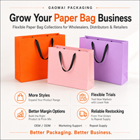 Bolsa de Compras de Cartón Blanco de Lujo con Logotipo en Dorado, Asa de Cinta de Satén, Reciclable, Ecológica, Personalizable, Bolsa de Papel Promocional