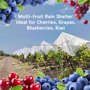Protection tissée par HDPE de cerisiers et de melon pour la couverture de pluie de serres agricoles - Product Image 6