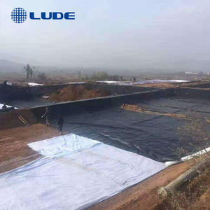 Geomembranas HDPE da Marca ROAD 0.2-2mm Filme para Lagos Tanque de Criação de Camarões e Peixes Revestimento de Lagoa Geomembrana - Product Image 4