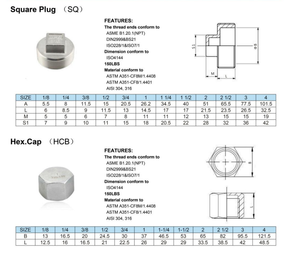Connettori Esagonali Filettati in Acciaio Inox, Raccordi Esterni 304/316 BSPT/BSP/NPT, Raccordi per <span class=keywords><strong>Tubi</strong></span> Esagonali - Product Image 6