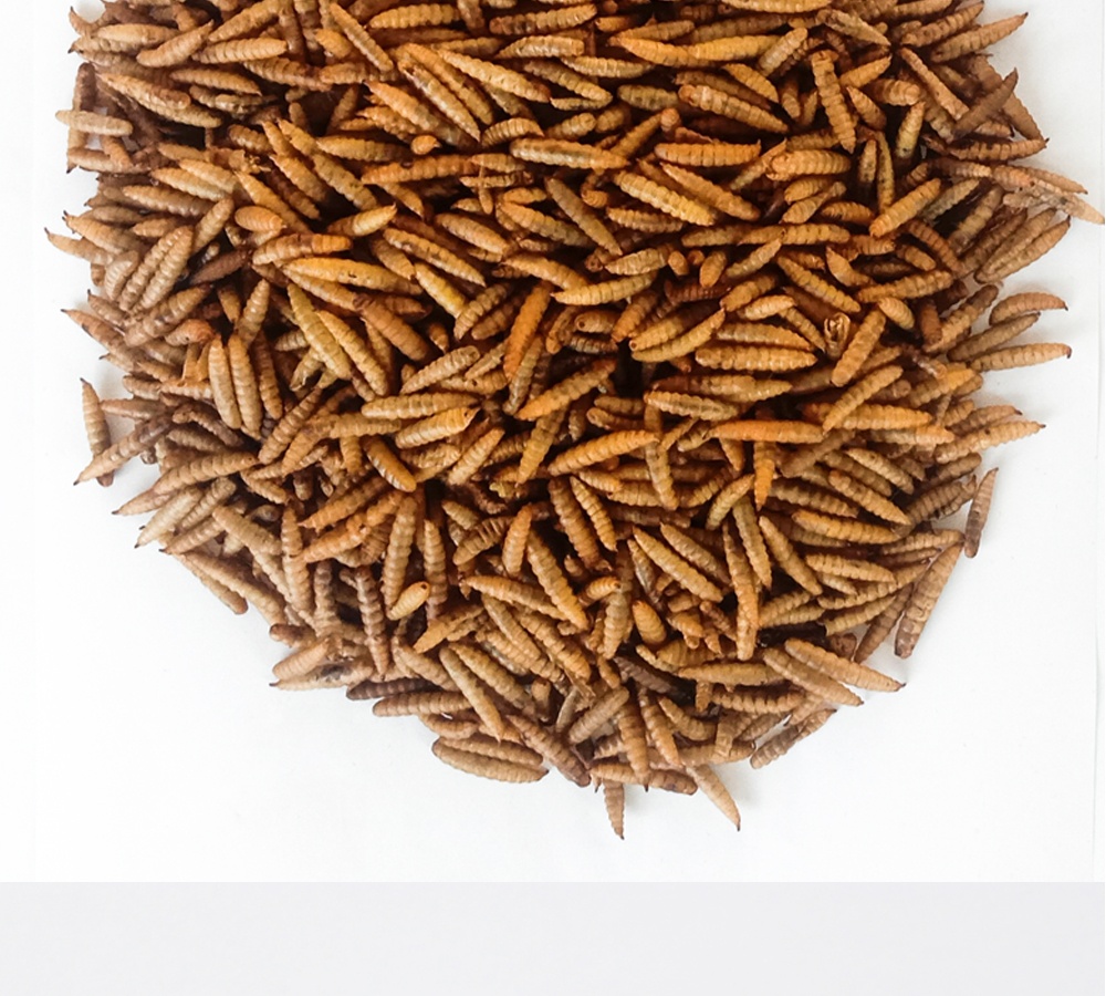 Janio Dried Mealworms Bird Food