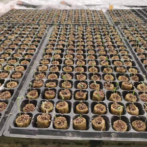 Steenwol 1.5 Inch Klokjes Voor Zaadplanten En Ontkiemen Kubussen Steenwol Prijs - Product Image 6