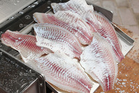 Tilapia poisson-chat calmar herbe carpe bar sole poisson bar tambour rouge peau épluchage machine de traitement