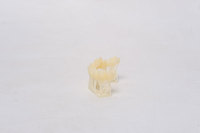 Résine dentaire ESUN TC100 pour imprimante 3D, 405 nm, 1 kg, pour couronnes et bridges temporaires, couleur naturelle des dents, matières premières plastiques, haute résistance à l'usure